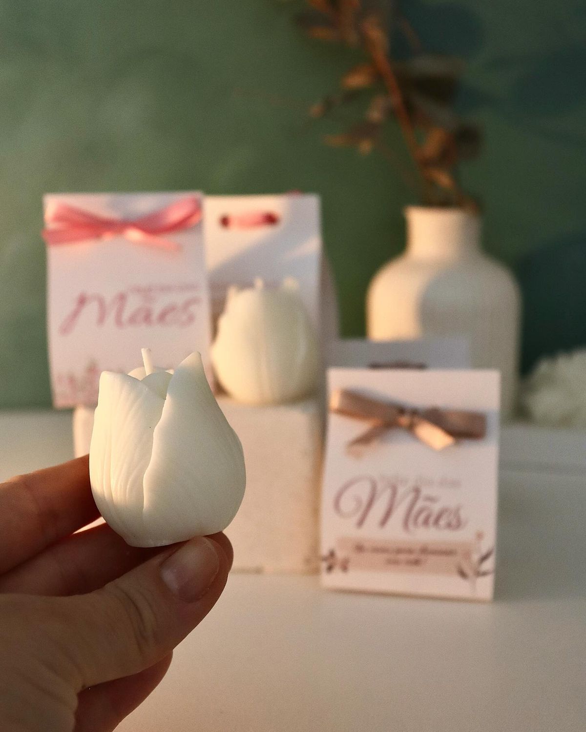 Tulipan en Caja