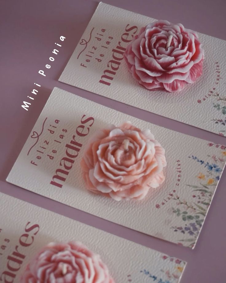Peonia mini con Tarjeta